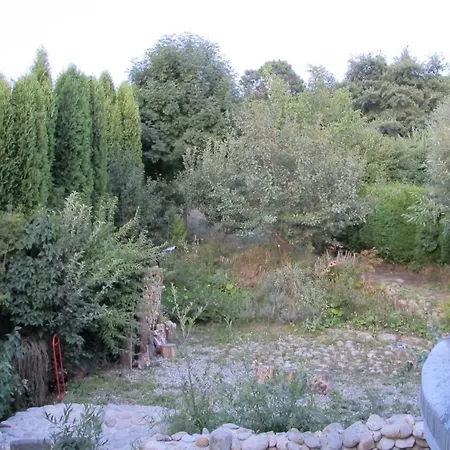 Nyaraló Handmade Natural Forest *