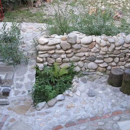 Handmade Natural Forest *